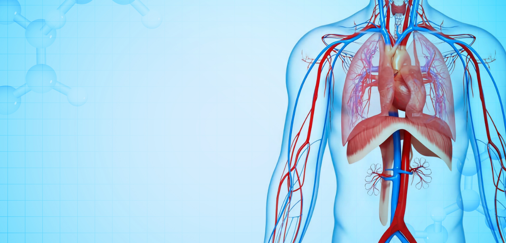 NINGBO LINSTANT POLYMER MATERIALS CO,. LTD.